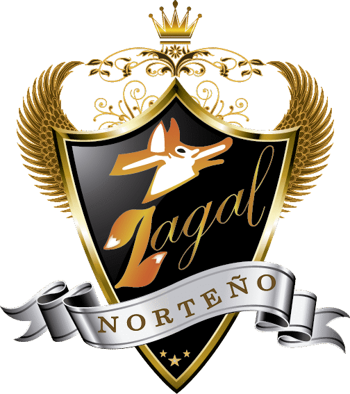 zagalnorteno.com